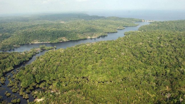 La Amazonía peruana perdió 23 mil hectáreas de bosques entre enero y junio