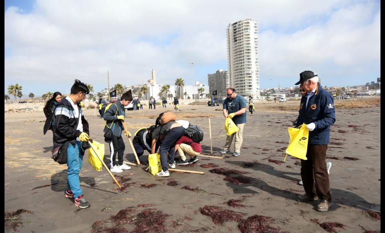 De cara al verano: Inician proceso de limpieza en playas de Coquimbo