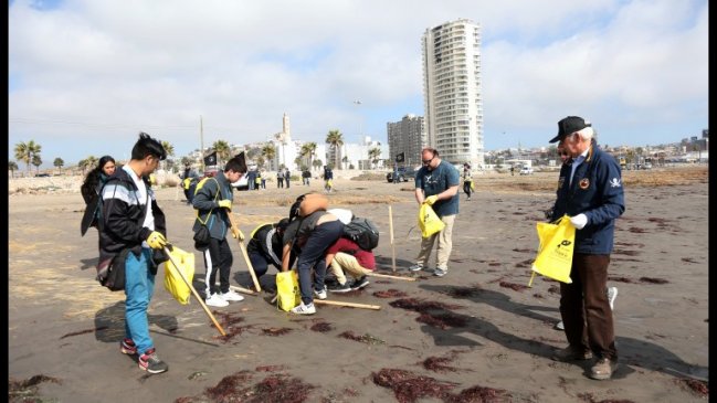 De cara al verano: Inician proceso de limpieza en playas de Coquimbo