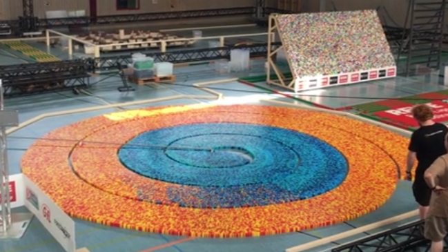 Mosca arruinó increíble récord mundial de dominó en Alemania