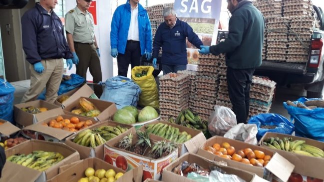 Huevos, piñas y papas: La variopinta incautación en centro de acopio ilegal de Iquique