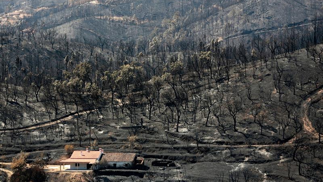 Autoridades portuguesas aseguraron que incendio en Algarve comenzó a ceder