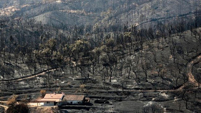 Autoridades portuguesas aseguraron que incendio en Algarve comenzó a ceder