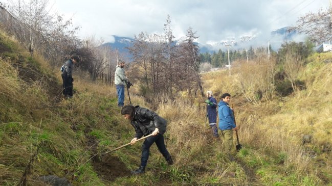 Coyhaique: Municipio y ONG inician proyectos de reforestación urbana con especies nativas