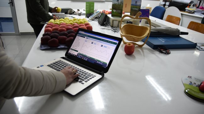 Maule: Lanzan plataforma climática que predice estado de cosecha de las manzanas