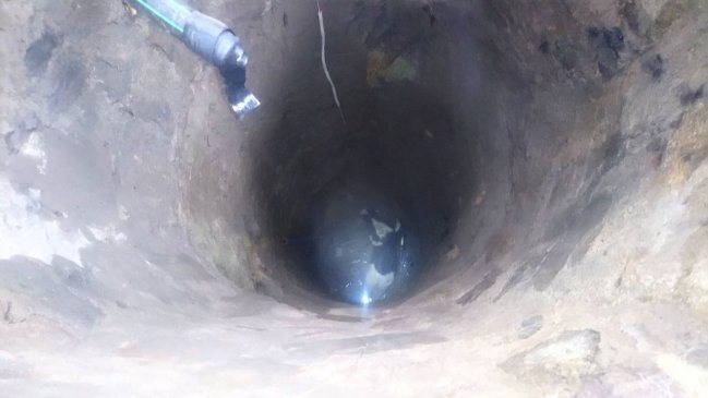 Vacuno es rescatado por Bomberos desde pozo de 7 metros en Casablanca