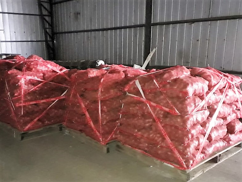 SAG decomisó cinco toneladas de papas en la Región de Los Lagos