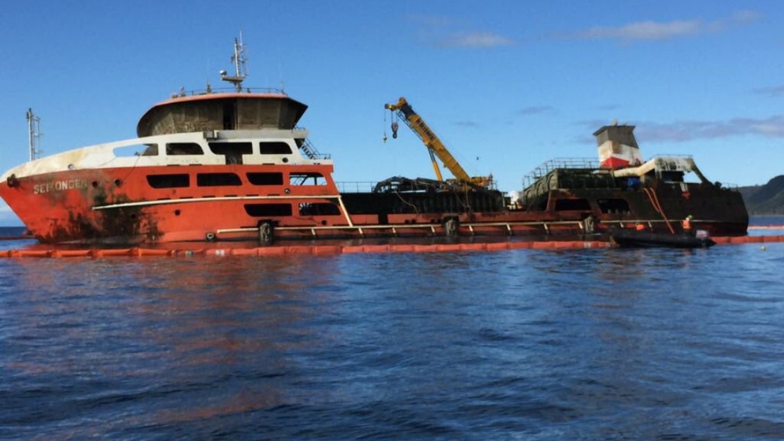 Alcaldes de Paillaco y Futrono presentaron recurso para impedir llegada de salmones muertos del buque 