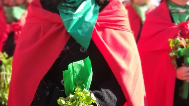 Mujer murió en Argentina luego de intentar aborto casero