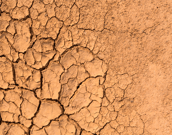 La adaptación al cambio climático será el eje del XVIII Encuentro de Desarrollo Sostenible