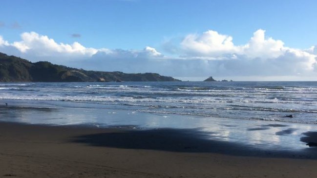 Justicia confirma rechazo a instalación de salmoneras en la costa de Los Ríos