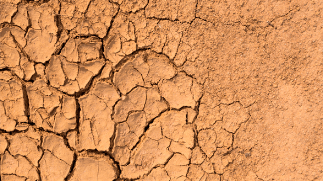 La adaptación al cambio climático será el eje del XVIII Encuentro de Desarrollo Sostenible