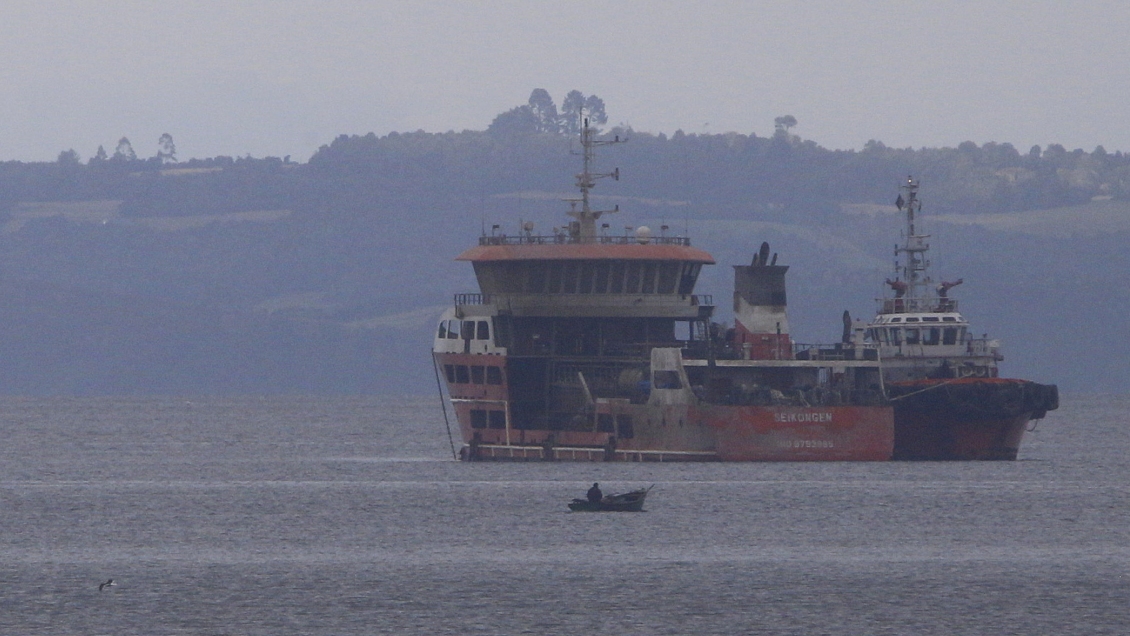Corte prohibió a buque Seikongen realizar descargas en Puerto Montt y Calbuco