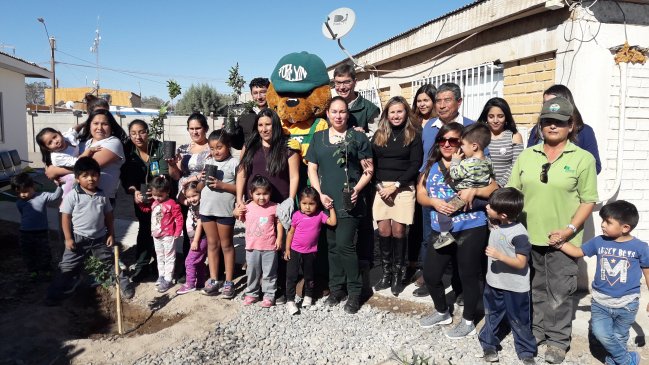 Convenio busca arborizar Provincia del Tamarugal