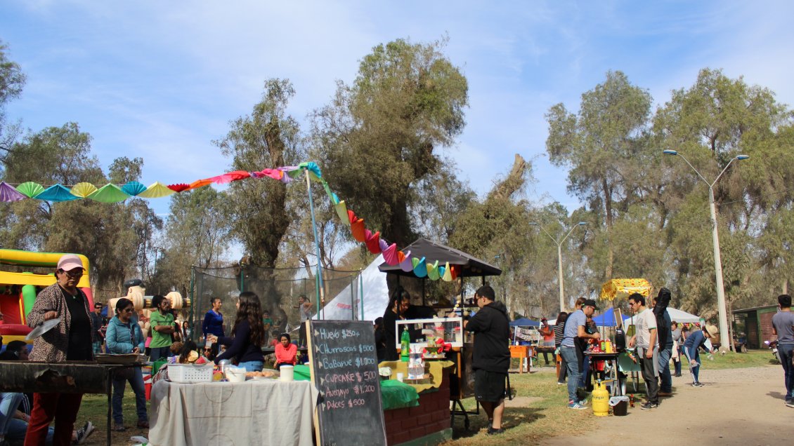 Actividad cultural busca recuperar antiguo parque de Copiapó