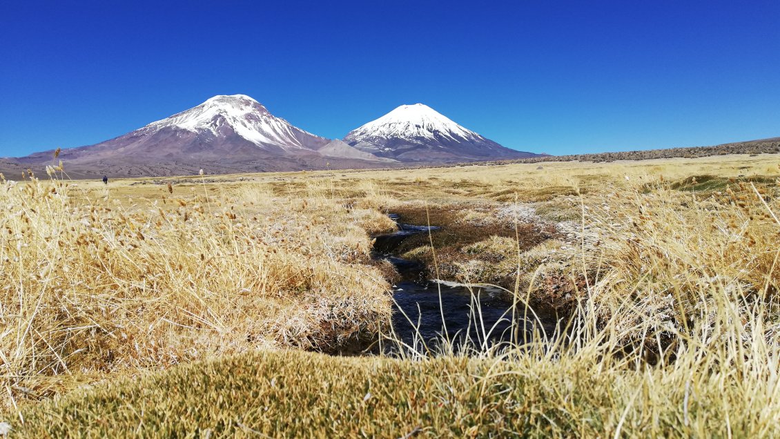Parinacota: Inician proceso para postular al Humedal de Caquena como Santuario de la Naturaleza