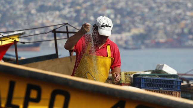 Postergan en un mes inicio de veda para extracción de recursos bentónicos en Los Ríos