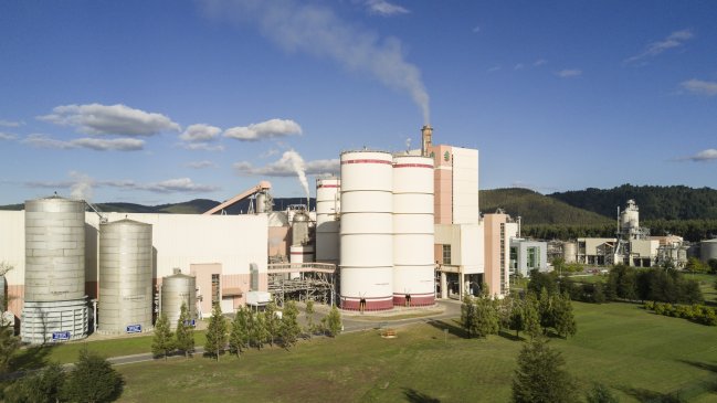 Inspeccionarán planta de Celulosa Arauco en Mariquina tras presentar reclamación en el Tribunal Ambiental