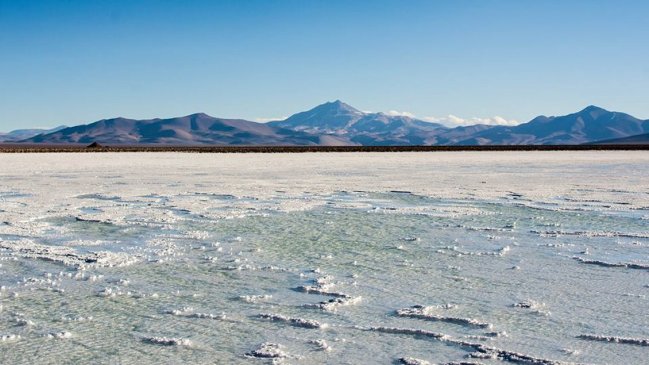 Atacama: Comunidad indígena critica proyecto minero en Salar de Maricunga