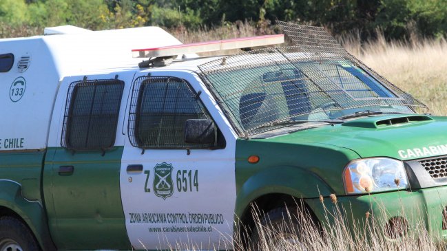 Cuatro camionetas incautadas y seis detenidos por robo de madera en Collipulli