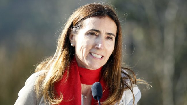 Ministra instruyó paralizar fuentes contaminantes en Quintero