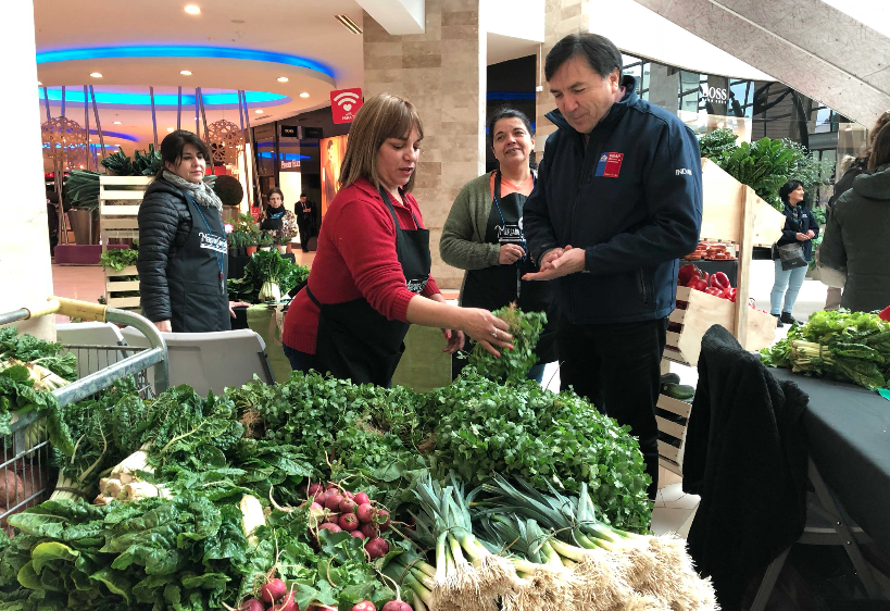 Concepción: Agricultores participan en la primera versión de la feria 