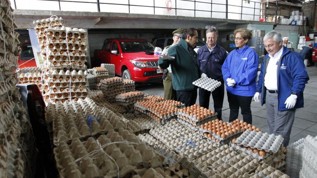 Tarapacá: Desbaratan histórico tráfico de huevos