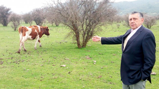 Alcalde de Rauco exige declarar a la comuna en estado de emergencia por heladas y déficit hídrico