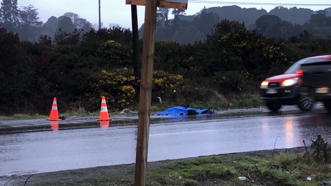 Un fallecido dejó atropello en transitada ruta Puerto Montt - Alerce