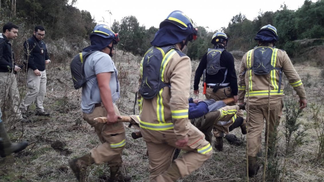 Encontraron con vida a adulto mayor extraviado en bosque de Puerto Octay