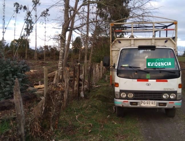 Dos detenidos por robo de madera en Vilcún