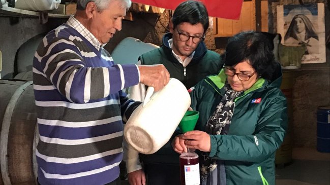 Chicha segura: Autoridades fiscalizaron a productores en Nancagua