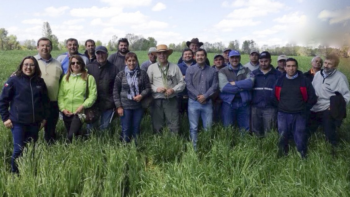 Región de Ñuble: 30 agricultores de Yungay firman acuerdo con importante molinera
