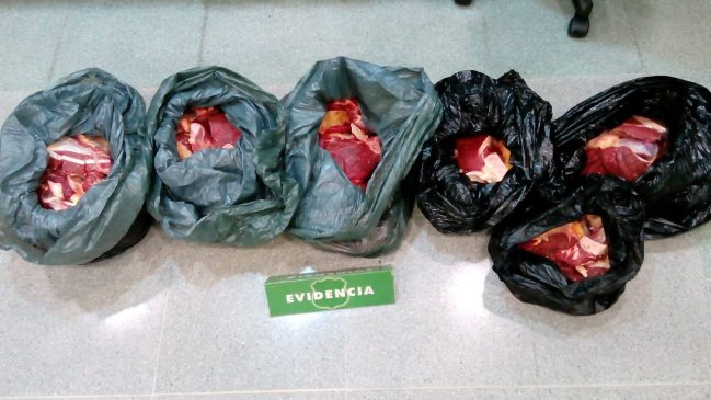 Los Ríos: Carabineros decomisó 40 kilos de carne infectada