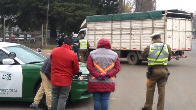Maule: Intensifican fiscalización contra el robo de ganado y autoridades llaman a denunciar