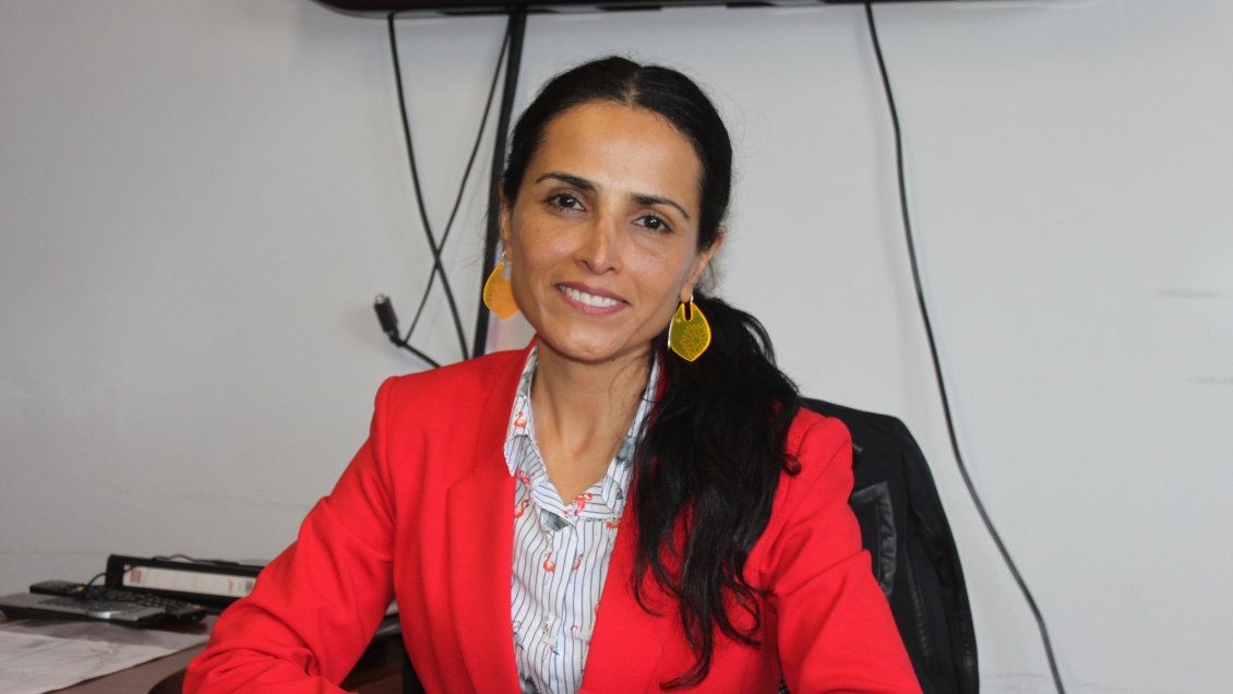 Seremi de Cultura de la Región de Coquimbo presentó su renuncia al cargo