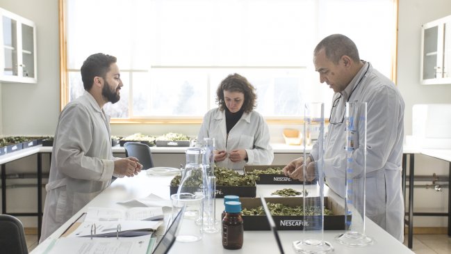 Universidad de Aysén da 430 millones a proyectos de investigación tras concurso interno