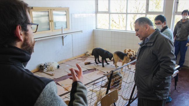 Ancud inaugurará la primera clínica veterinaria municipal chilota