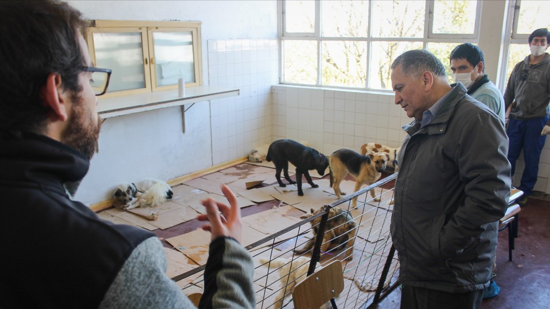 Ancud inaugurará la primera clínica veterinaria municipal chilota