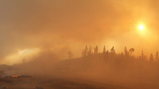 Ex seremi: Efectivamente hubo sinvergüenzas que se aprovecharon del incendio de Santa Olga