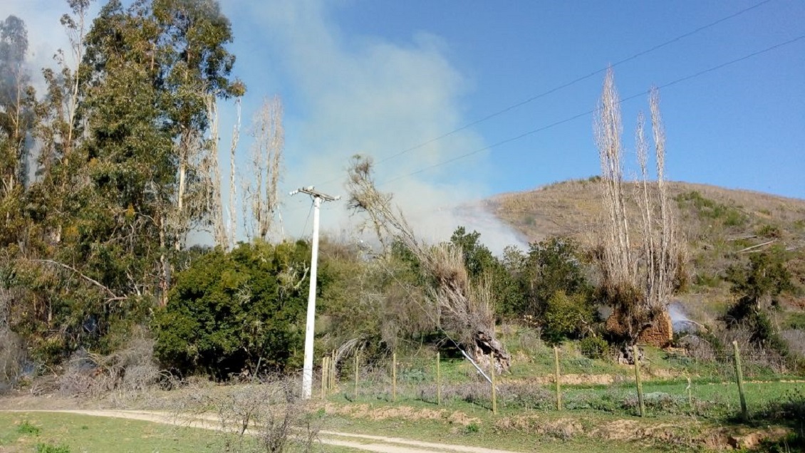 Detienen a dos personas tras quema ilegal que terminó en incendio forestal en Peumo