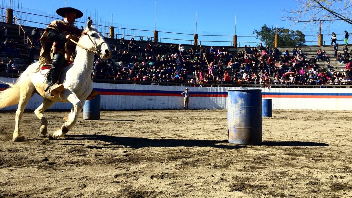 Coronel: 1000 niños participaron del lanzamiento de Fiesta de la Chilenidad