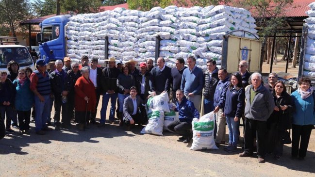Gobierno entregó forraje a agricultores de la Región de O´Higgins