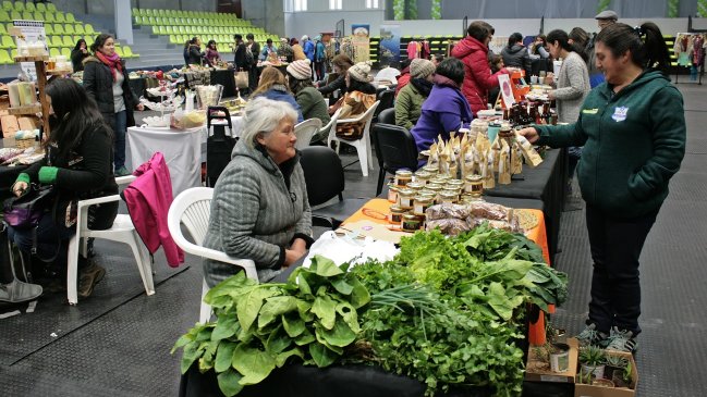 Emprendedoras de la Región de Los Lagos dan vida a feria manos de mujer