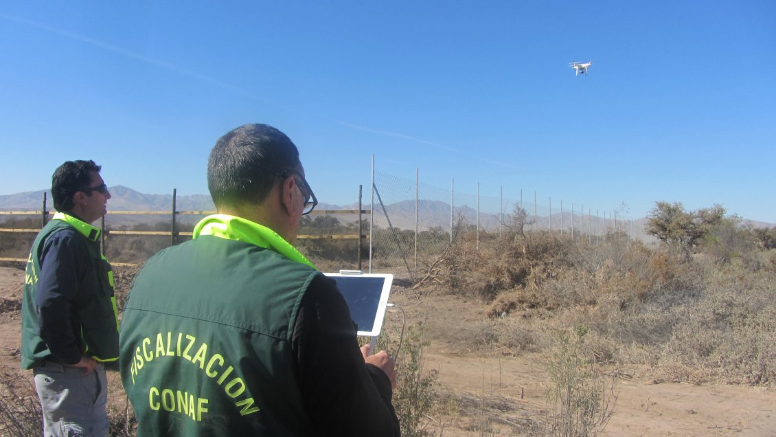 Conaf fiscaliza con dron la tala de bosque nativo en Copiapó