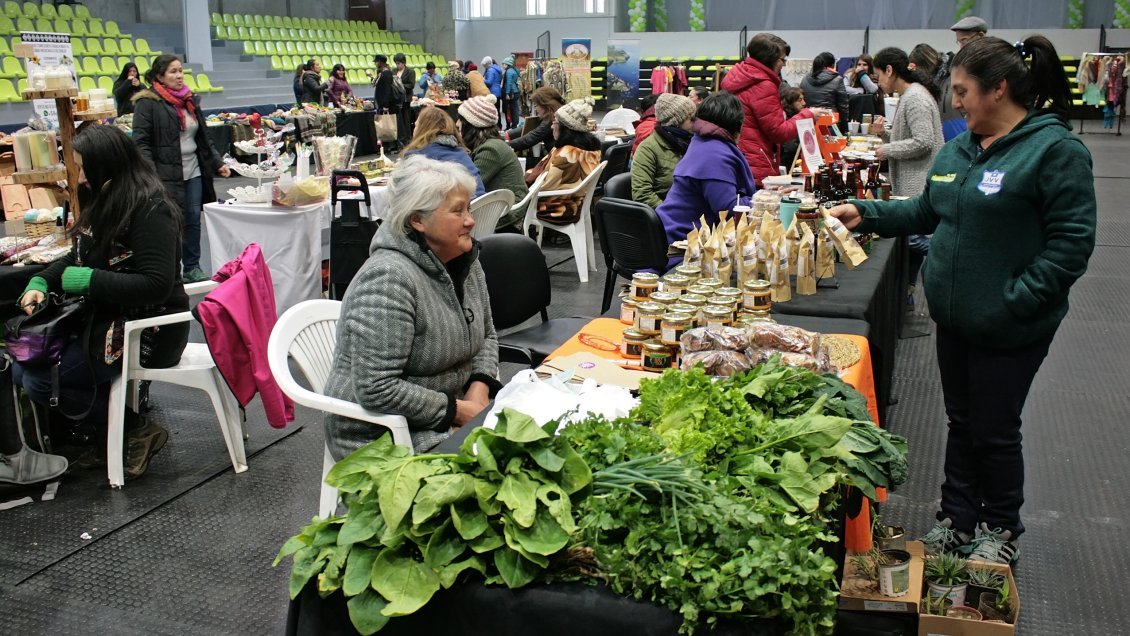 Emprendedoras de la Región de Los Lagos dan vida a feria manos de mujer