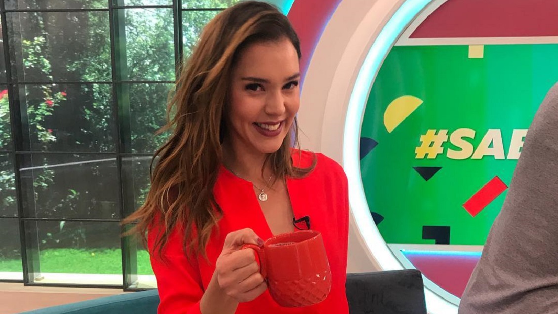 Carolina Mestrovic se va de Chile para trabajar en canal internacional