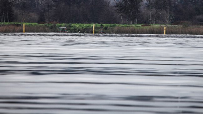 Rescatan a adolescente que cayó a las aguas del Río Caucau