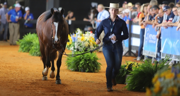 Caballos del equipo chileno de Rienda Internacional superaron el control veterinario en Tryon