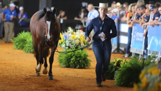 Caballos del equipo chileno de Rienda Internacional superaron el control veterinario en Tryon